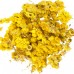 ЦМИН ПІСКОВИЙ, цмин песчаный, безсмертник, Helichrysum.