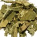 Ліщина лист