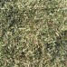 Папороть (щитовник чоловічий) трава - лікарська рослина