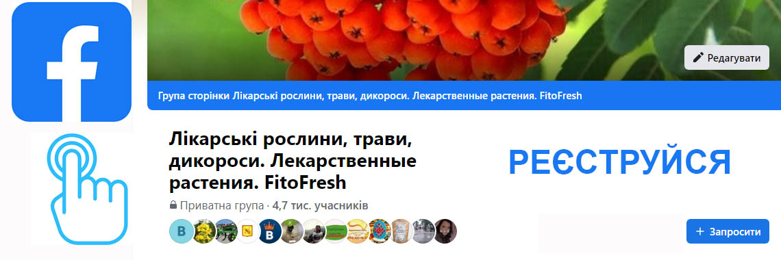 Банер фейсбук