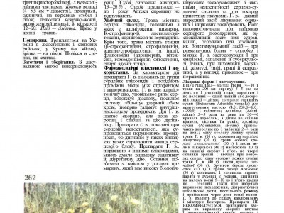 Адоніс весняний, (Горіцвіт)